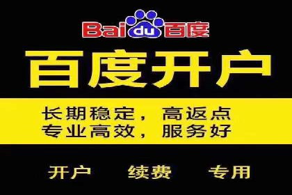 百度推广运营案例精选：揭秘成功之道